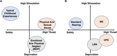 The Moderating Effects of Sex on Consequences of Childhood Maltreatment: From Clinical Studies to Animal Models